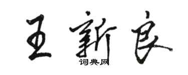 骆恒光王新良行书个性签名怎么写