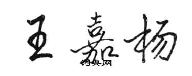 骆恒光王嘉杨行书个性签名怎么写