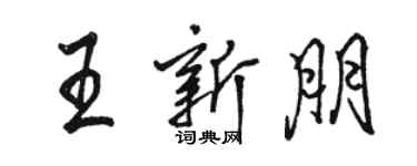 骆恒光王新朋行书个性签名怎么写