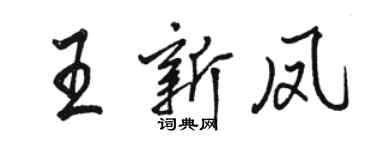 骆恒光王新凤行书个性签名怎么写