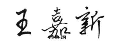 骆恒光王嘉新行书个性签名怎么写