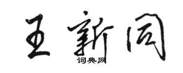 骆恒光王新同行书个性签名怎么写