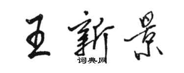 骆恒光王新景行书个性签名怎么写
