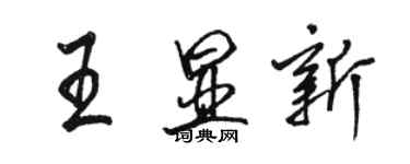 骆恒光王显新行书个性签名怎么写