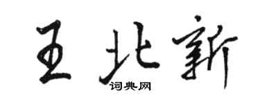 骆恒光王北新行书个性签名怎么写