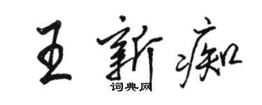 骆恒光王新痴行书个性签名怎么写
