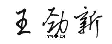 骆恒光王劲新行书个性签名怎么写