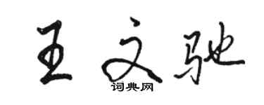 骆恒光王文驰行书个性签名怎么写