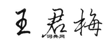 骆恒光王君梅行书个性签名怎么写