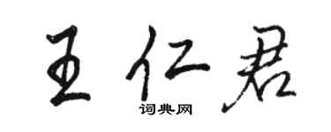 骆恒光王仁君行书个性签名怎么写