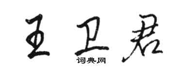 骆恒光王卫君行书个性签名怎么写