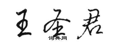 骆恒光王圣君行书个性签名怎么写