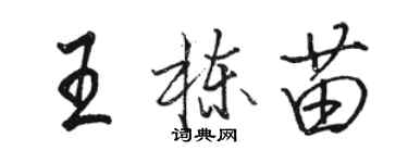 骆恒光王栋苗行书个性签名怎么写