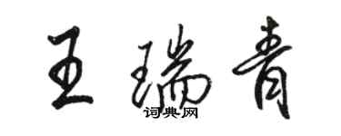 骆恒光王瑞青行书个性签名怎么写