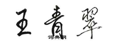 骆恒光王青翠行书个性签名怎么写