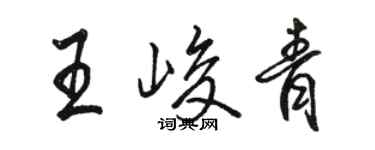 骆恒光王峻青行书个性签名怎么写