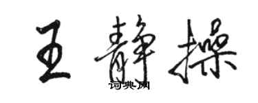 骆恒光王静操行书个性签名怎么写