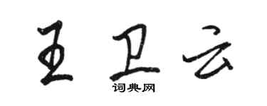 骆恒光王卫云行书个性签名怎么写