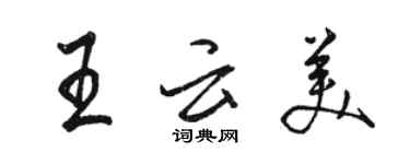 骆恒光王云美行书个性签名怎么写