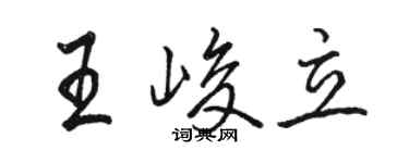 骆恒光王峻立行书个性签名怎么写