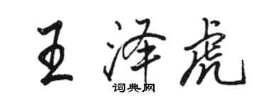 骆恒光王泽虎行书个性签名怎么写