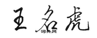 骆恒光王名虎行书个性签名怎么写