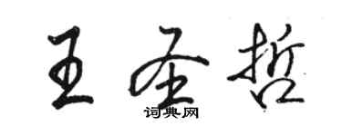 骆恒光王圣哲行书个性签名怎么写