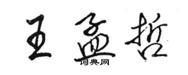 骆恒光王孟哲行书个性签名怎么写