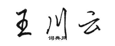 骆恒光王川云行书个性签名怎么写