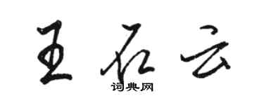 骆恒光王石云行书个性签名怎么写