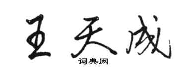 骆恒光王天成行书个性签名怎么写