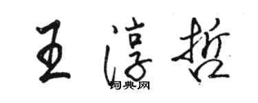 骆恒光王淳哲行书个性签名怎么写