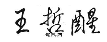 骆恒光王哲醒行书个性签名怎么写