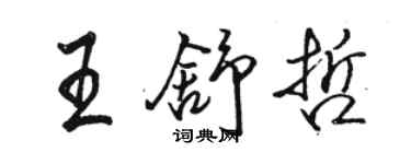 骆恒光王舒哲行书个性签名怎么写