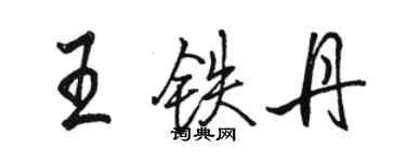 骆恒光王铁丹行书个性签名怎么写