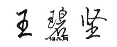 骆恒光王碧坚行书个性签名怎么写