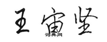 骆恒光王宙坚行书个性签名怎么写
