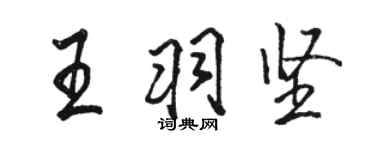 骆恒光王羽坚行书个性签名怎么写