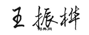 骆恒光王振桦行书个性签名怎么写