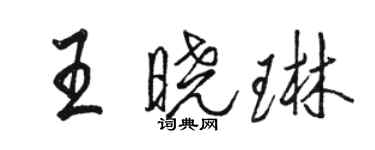 骆恒光王晓琳行书个性签名怎么写
