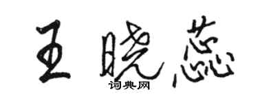 骆恒光王晓蕊行书个性签名怎么写
