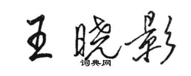 骆恒光王晓影行书个性签名怎么写
