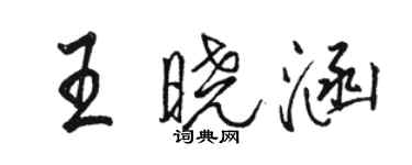 骆恒光王晓涵行书个性签名怎么写