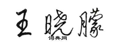 骆恒光王晓朦行书个性签名怎么写