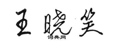 骆恒光王晓笑行书个性签名怎么写