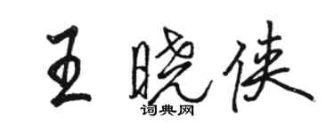 骆恒光王晓侠行书个性签名怎么写