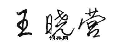 骆恒光王晓营行书个性签名怎么写