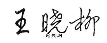 骆恒光王晓柳行书个性签名怎么写