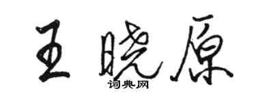 骆恒光王晓原行书个性签名怎么写
