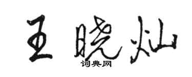 骆恒光王晓灿行书个性签名怎么写
